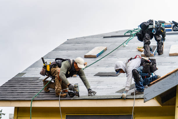 Professional Gutter Installation technician working in Genoa City, WI